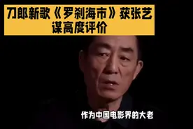 张艺谋评价刀郎新专辑罗刹海市视频封面