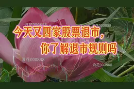 你真的了解股票退市规则吗视频封面