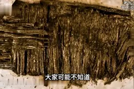海昏侯墓干缩成牙签的竹简，修复成了国宝，发现了论语的失传内容