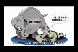 大象和蛇的故事视频封面