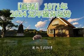 【属猪】 1971年出生2024 龙年整体运势