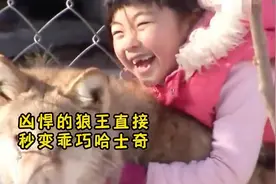 小女孩养大的小狼王，长大后对她超温柔，收起了锋利的獠牙