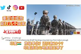 外网热议：中国的重装合成旅怎么样，什么？29个？视频封面