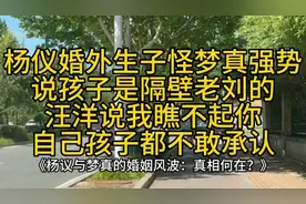 杨仪婚外生子怪梦真强势，说孩子是隔壁老刘的，汪洋说我瞧不起你