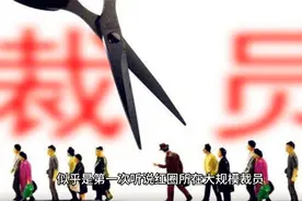 为何说，现在做律师等于49年加入国军？