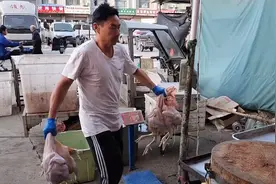 今天褪的啥白条鸡？黑腿白腿都有，你们平时吃鸡都是吃啥样的？视频封面