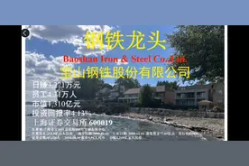 宝山钢铁4.31万人-人均年收入37.87万元-人均创利31.86万元