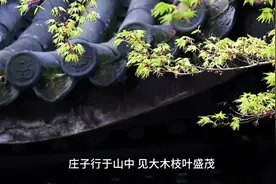 君子应处木雁之间，当有龙蛇之变！视频封面