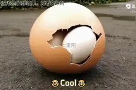 蛋生蛋。热梗