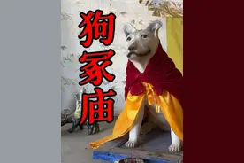 河南田野里的狗冢庙，墓中竟葬一只狗，为何在墓顶建庙供奉？