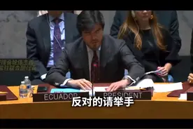 【巴勒斯坦】当世界再次年轻，当群星再次闪耀。永远燃烧的羽翼视频封面