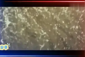 海水突然倒退，游客发现不对劲，下秒疯狂往岸上跑视频封面