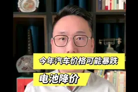 今年汽车价格将会暴跌，买车的要小心了！ #新能源汽车 #2024财是视频封面