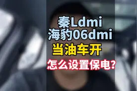 秦Ldmi和海豹06dmi当油车开，怎么设置保电，动力更强，油耗更低