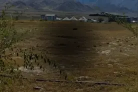 @董宇辉 讲毛姆的《月亮与六便士》