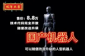中国大专生，制造出了3.8万人形机器人！#国产机器人视频封面