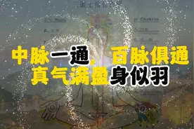 真气运行:中脉一通，百脉俱通，真气满盈身似羽视频封面