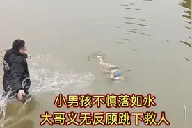小男孩不慎落水，大哥义无反顾跳下河里救人！视频封面