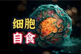 [细胞秘事16] 面对饥饿，她甚至会吃掉自己的身体！视频封面