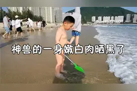 神兽第一视角玩水：把自己脱个精光，白肉晒成黑肉，游客纷纷拍照视频封面