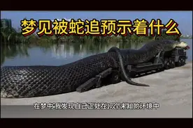 梦见被蛇追预示着什么？