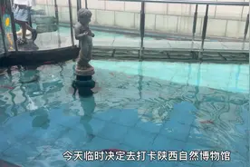 暑期亲子游玩的好去处，陕西自然博物馆值得过来参观视频封面