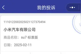 小米SU7被投诉“红温”！12315介入，事件真相究竟如何？视频封面