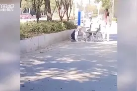 浙江一老人被保姆推下轮椅虐待目击者已通知老人儿子视频封面