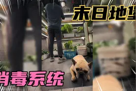 带你们看看末日地堡的空气循环消毒系统！视频封面