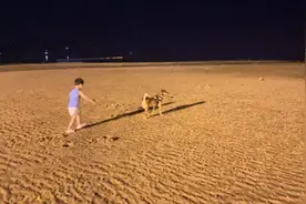 半夜的威海金海滩太适合遛娃遛狗了