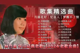 林竹君 怀旧经典老歌【2024 老歌金曲】歌集精选曲 Best Chinese