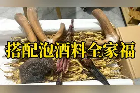 全套泡酒料五件套：鲜鹿茸林下参灵芝鹿鞭鹿尾巴，泡30斤酒喝两年