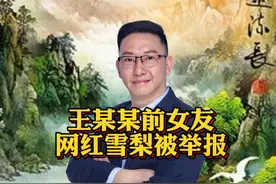 王某某前女友网红雪梨被举报上热搜，此事引发热议视频封面