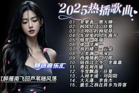 2025年爆火热播歌曲合集， 带你领略华语乐坛新风向！
