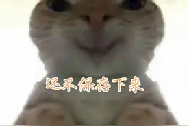 鼠鼠表情包，还不@你们的好友保存下来！关注主播一下，求求你了视频封面