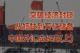 突破经济封锁，从短缺到万亿储备，中国外汇成长史（上）视频封面
