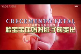 胎宝宝在妈妈肚子里的成长全过程