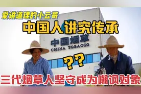 中国人讲究传承，三代烟草人的辛勤坚守，为何成为群众嘲讽的对象视频封面