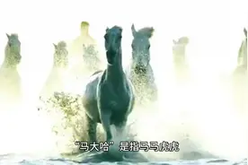 中国文史文常—何为马大哈