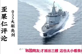 国外网友热议055大驱亮剑，韩网友：你也太看不起我们了#055#海军视频封面