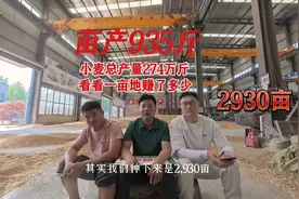 2800亩小麦收完打了274万斤粮，看看三位85后能赚多少钱！视频封面