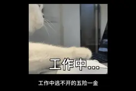 那些年缴过的“五险一金”到底是什么？视频封面