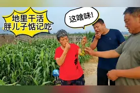 农村胖儿子就惦记吃！在地里看到啥都往嘴里塞，这下长教训了！视频封面