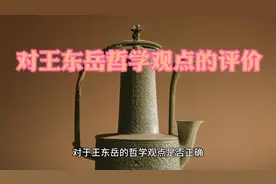 对王东岳哲学观点的评价