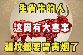 生肖牛的人这周有大喜事,祖坟都要冒青烟了,赶紧接福视频封面