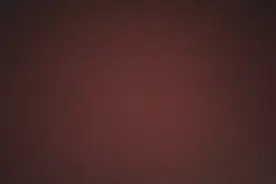 熊二（头像）对不起