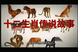 十二生肖起源故事！视频封面
