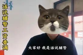 辅警工资普调，辅警真的太不容易了，拿着微薄的收入，家都养不起视频封面