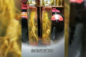 人参泡酒适量可以滋补