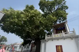 徐向前元帅生于1901年11月8日一1990年9月21啊日。山西五台永安村